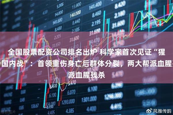 全国股票配资公司排名出炉 科学家首次见证“猩猩帝国内战”：首领重伤身亡后群体分裂，两大帮派血腥残杀